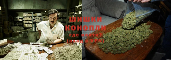 прущие грибы Нефтегорск