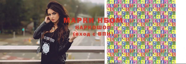 стафф Новозыбков