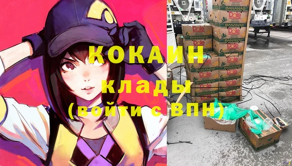 стафф Новозыбков