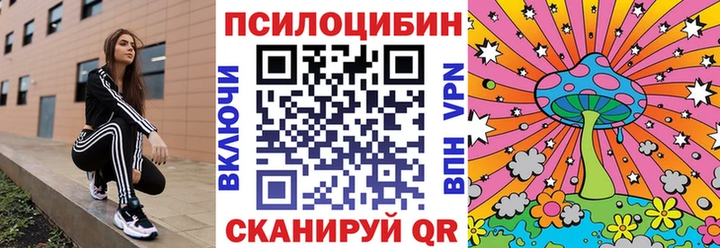 как найти наркотики  Ирбит  Галлюциногенные грибы мухоморы 