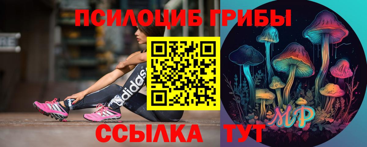 Псилоцибиновые грибы Psilocybine cubensis  Вход с VPN  Ирбит 